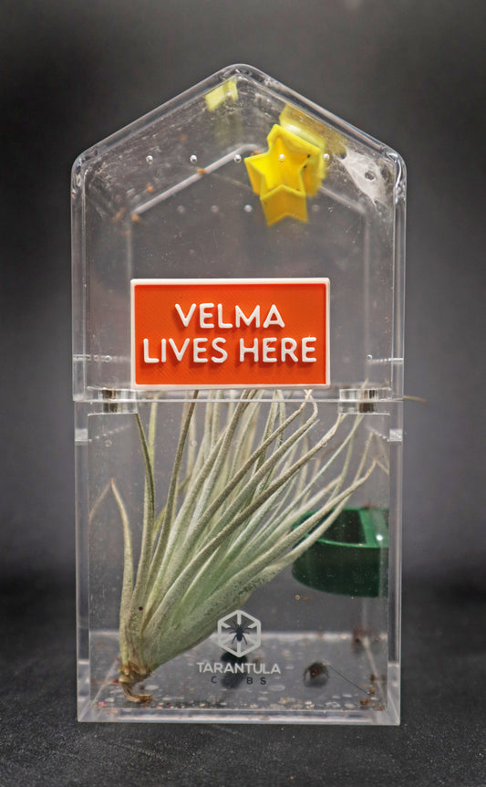 Personalised Magnetic Name Sign