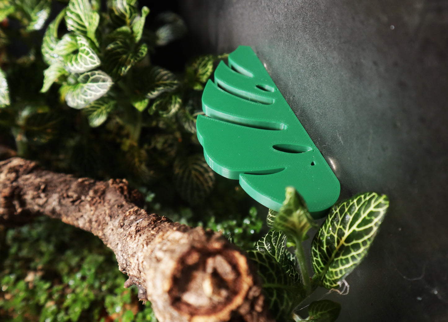 Large Monstera Leaf Ledges