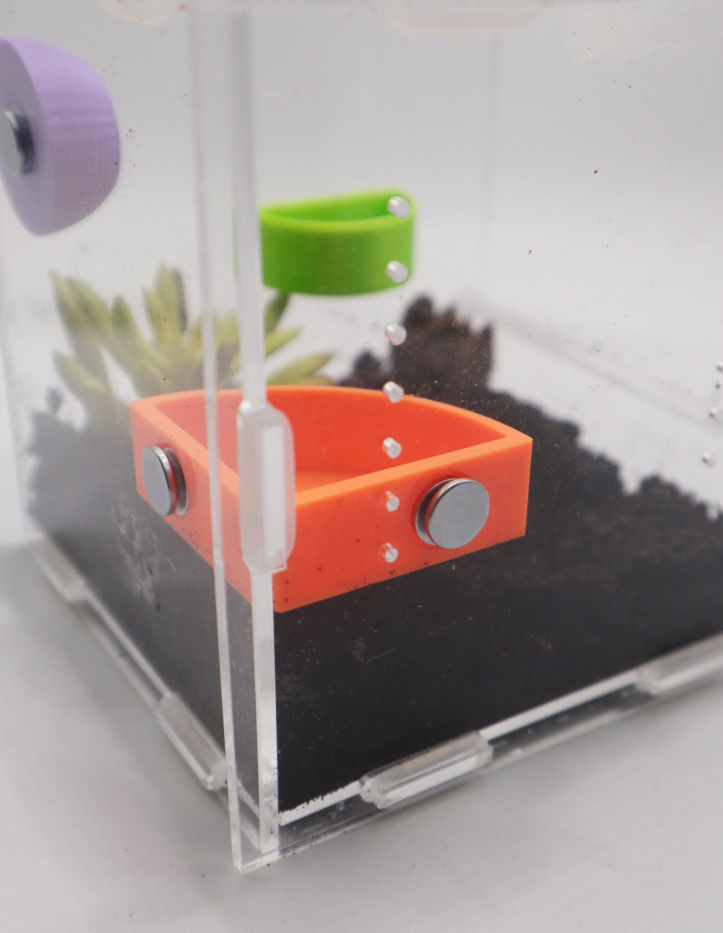 Corner Feeding Platform