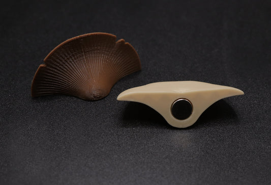 Jumping Spider Mushroom Ledges