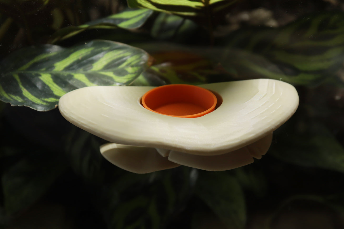 Magnetic Mushroom Feeding Ledge & Bowls For Geckos & Frogs