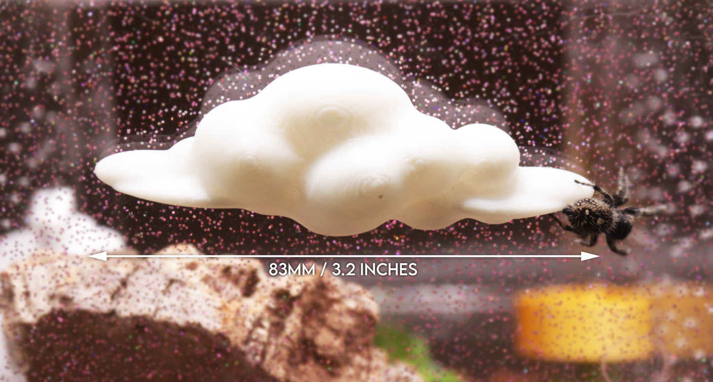 Cloud-Shaped Ledges