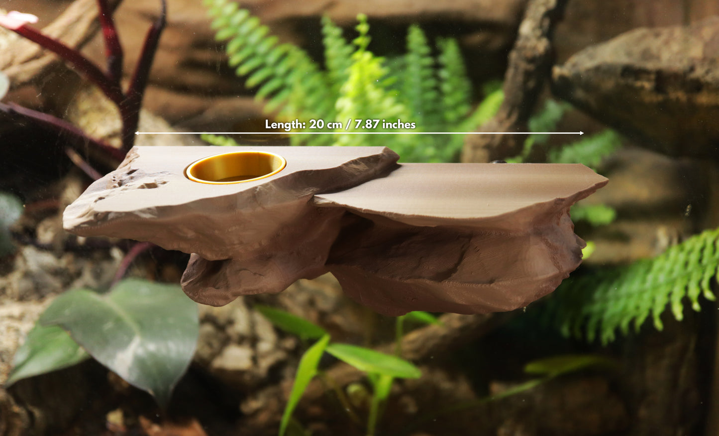 Magnetic Rocky Gecko Food Ledge, Bowls & Spoon Kit