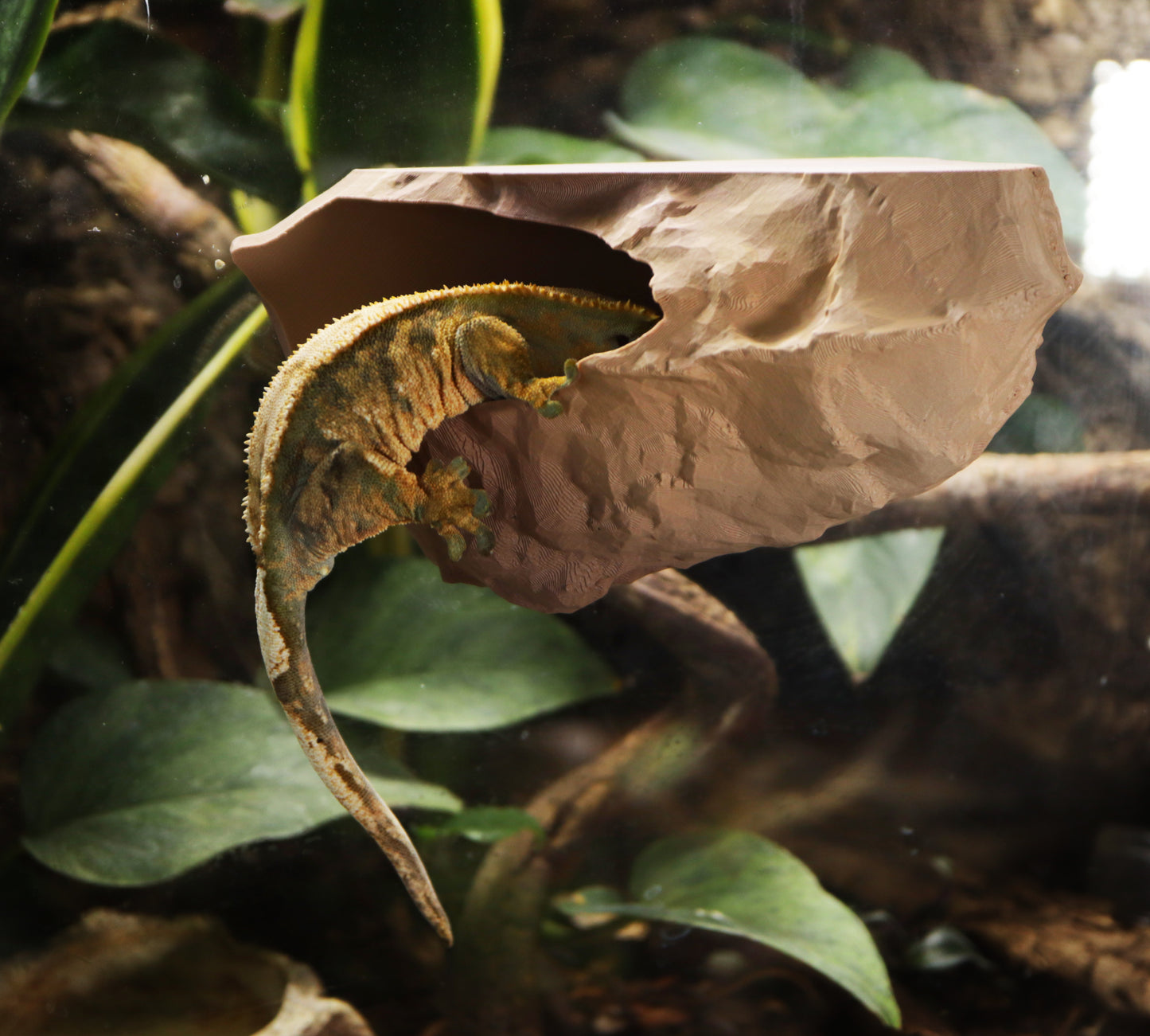 Magnetic Rocky Ledge Hide For Frogs & Geckos