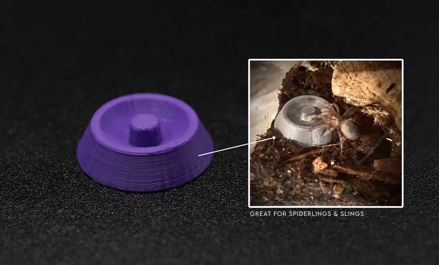 5X or 10X Mini Bowls With Island For Insects & Arachnids
