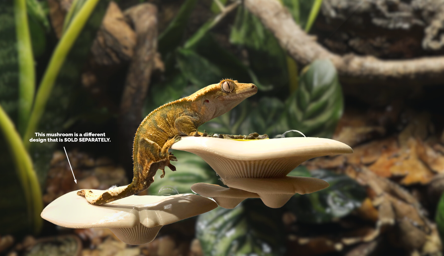 Mushroom Feeding Ledge & Bowls For Geckos & Frogs