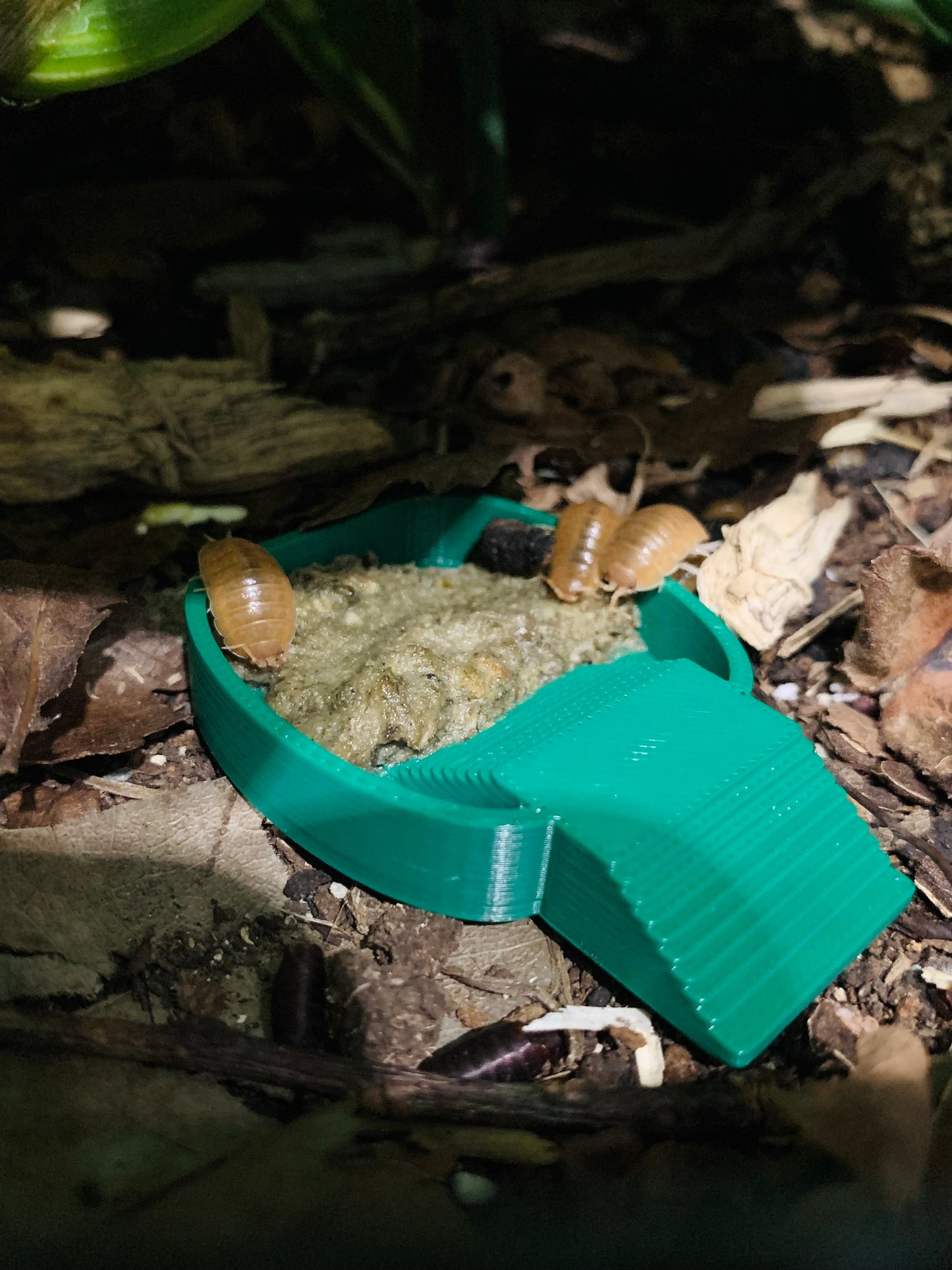 Isopod Food Bowl