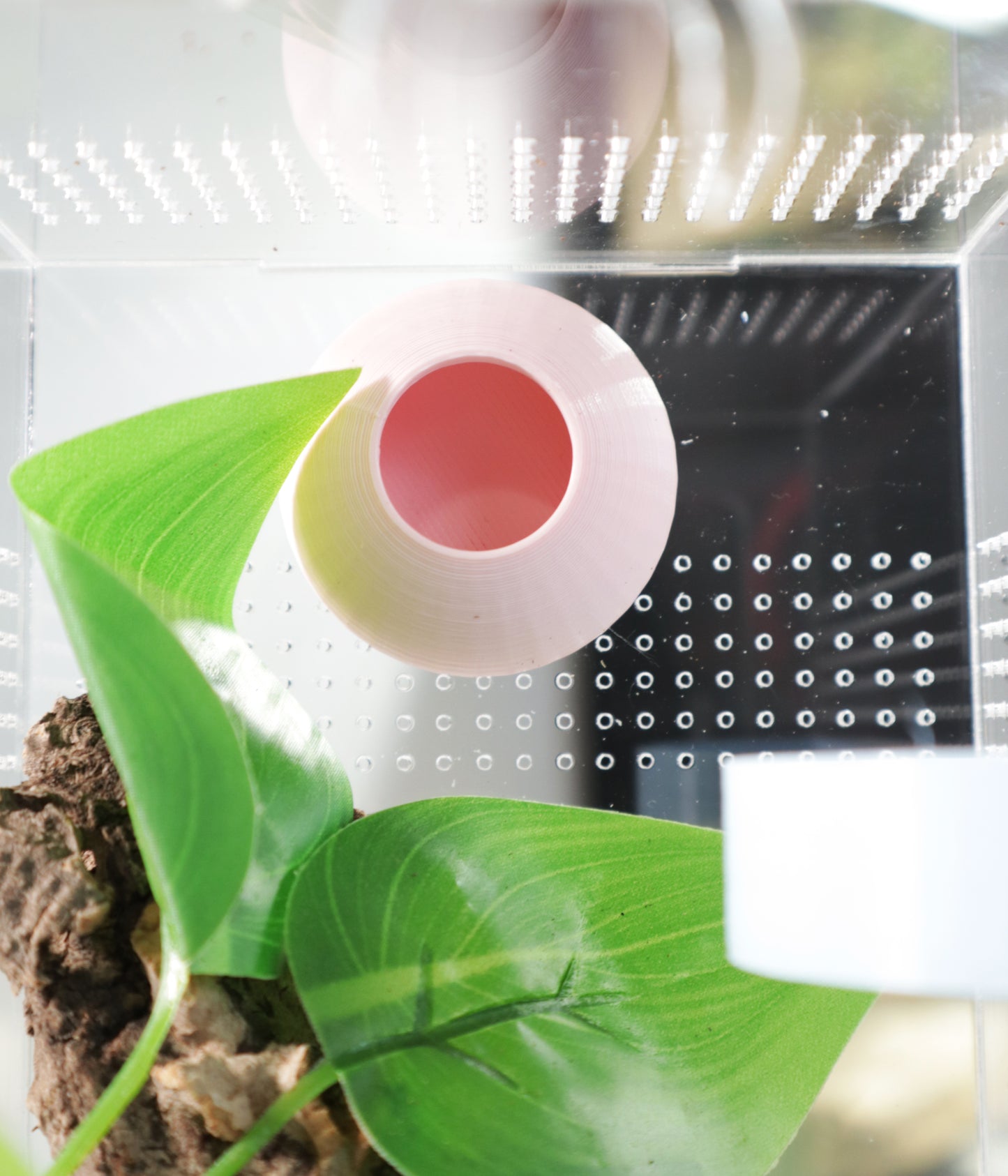 Hide & Feeding Platform Set