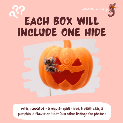Jumping Spider Decoration Mystery Box