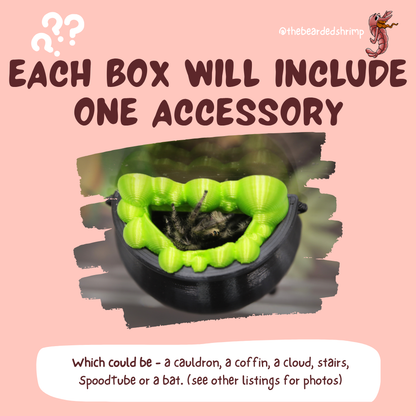 Jumping Spider Decoration Mystery Box