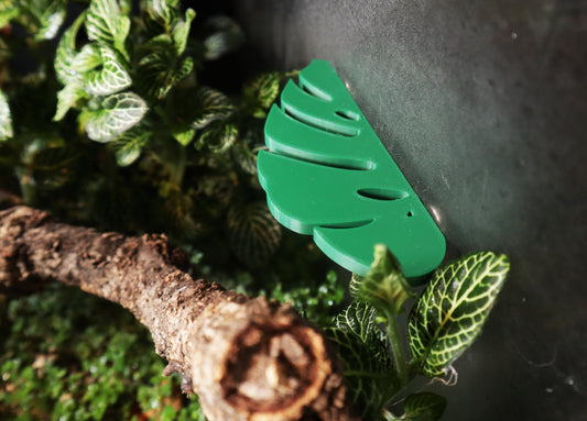 Large Monstera Leaf Ledges