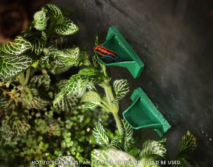 2 X Dart Frog Egg Pods
