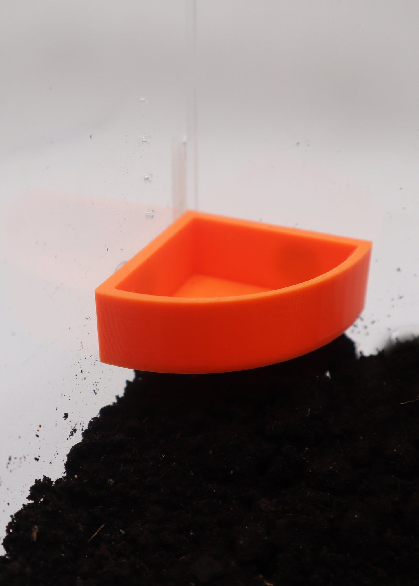 Corner Feeding Platform
