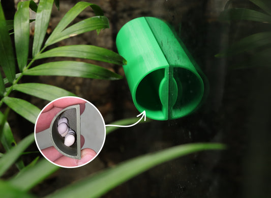 Mourning Gecko Egg Laying Tube Hide