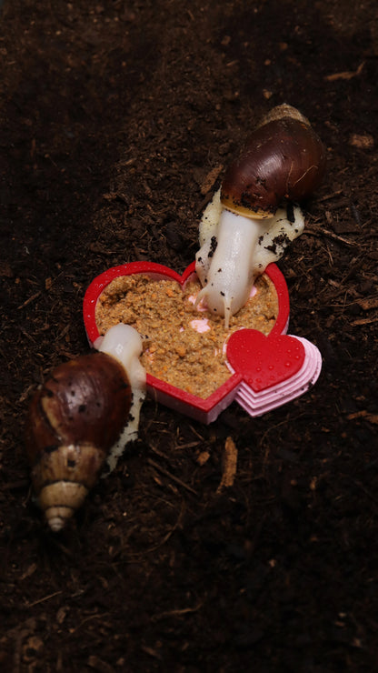 Heart-Shaped Food Bowl