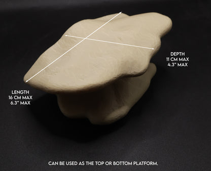 Magnetic Double Mushroom Ledge For Frogs & Geckos