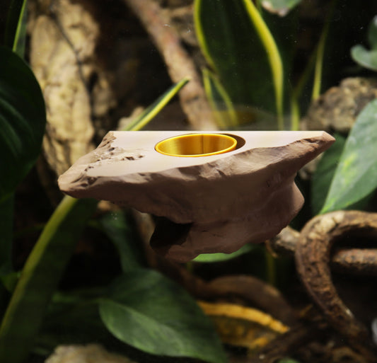 Magnetic Rocky Gecko Food Ledge, Bowls & Spoon Kit