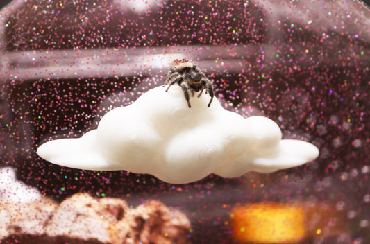 Cloud-Shaped Ledges