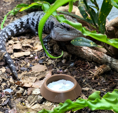 Extra Wide Reptile Calcium Bowls