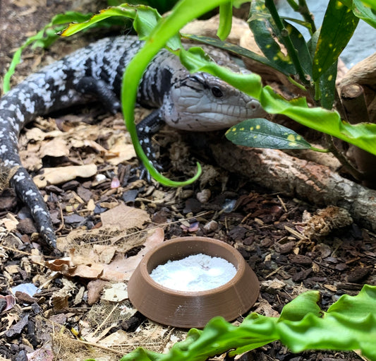 Extra Wide Reptile Calcium Bowls