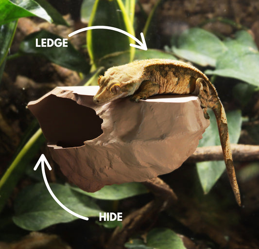 Magnetic Rocky Ledge Hide For Frogs & Geckos