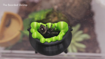 Magnetic Cauldron Hide