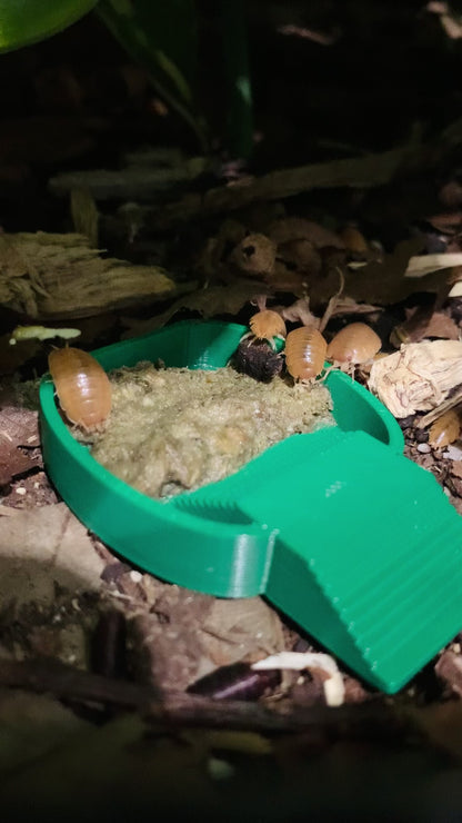Isopod Food Bowl