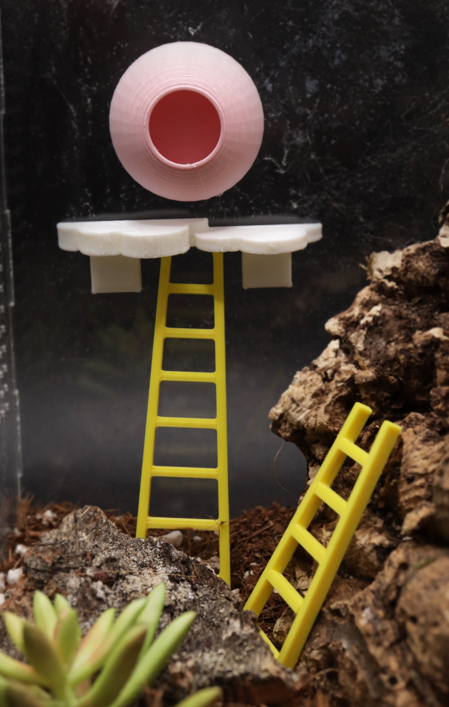 Hide, Cloud & Ladder Decoration Set