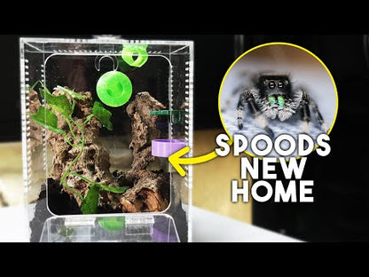 Spood Tube® Homes | Various Shapes